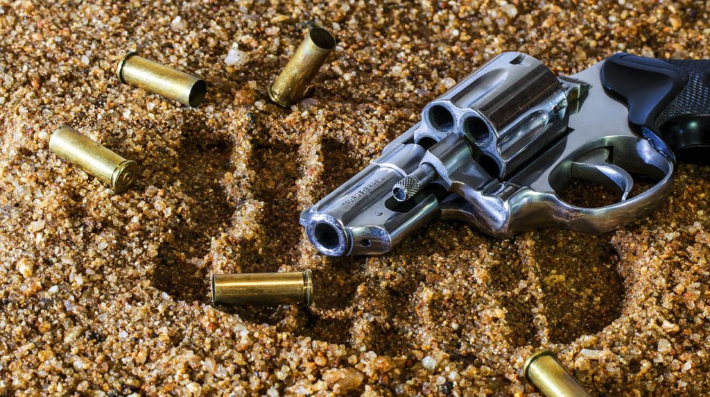 Does Gun Ownership Reduce Crime